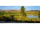 Scenic view of a pond on a golf course with desert brush and mountains at 41007 N Harbour Town Way, Anthem, AZ 85086
