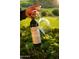 Close-up of a DAOU wine bottle and a glass against a blurred green backdrop at 41007 N Harbour Town Way, Anthem, AZ 85086