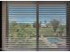 View from window showing backyard, pool, and neighborhood at 6131 W Irma Ln, Glendale, AZ 85308