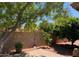 Small backyard with block wall, small trees, and a patio area at 8014 E Plata Ave, Mesa, AZ 85212