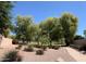 Landscaped community green space with mature trees and walking path at 8014 E Plata Ave, Mesa, AZ 85212
