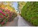 Landscaped pathway leading to home entrance at 9254 N 82Nd St, Scottsdale, AZ 85258