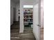 Well-organized pantry with ample shelving for food storage at 11596 W Sierra Dawn -- # 132, Surprise, AZ 85378