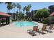 Inviting community pool with lounge chairs and palm trees at 1645 W Baseline Rd # 2041, Mesa, AZ 85202