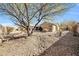 Backyard with gravel and mature trees at 38724 N Donovan Ln, Anthem, AZ 85086