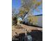 Backyard view with storage shed and gravel at 120 N Val Vista Dr # 38, Mesa, AZ 85213