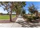 Tree-lined pathway ideal for relaxing walks through the community at 1329 N Balboa --, Mesa, AZ 85205
