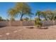Landscaped backyard with gravel and cacti at 19810 N 90Th Ln, Peoria, AZ 85382