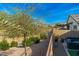 Landscaped backyard with trees and shrubs at 21062 E Via Del Sol --, Queen Creek, AZ 85142