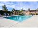 Community pool with lounge chairs and covered seating at 3830 E Carter Dr, Phoenix, AZ 85042