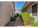 Landscaped walkway between buildings at 4135 N 17Th St # 8, Phoenix, AZ 85016