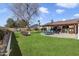 Large backyard with grassy area, patio, and mature tree at 4641 W Palo Verde Ave, Glendale, AZ 85302