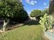 Lush backyard with grass, trees, and some desert landscaping at 6820 E Pinchot Ave, Scottsdale, AZ 85251