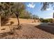 Inviting backyard with a refreshing pool and ample space for relaxation at 12677 N 140Th Dr, Surprise, AZ 85379