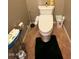 Updated bathroom with toilet and modern flooring at 3469 E Cabazon Ct, Gilbert, AZ 85297