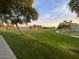 Large grassy park area with lush landscaping and views of homes at 3469 E Cabazon Ct, Gilbert, AZ 85297