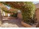 Landscaped backyard with a gravel pathway and lush greenery at 4221 E Carriage Way, Gilbert, AZ 85297