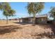 Spacious backyard with mature trees and a view of the house at 7818 W Encinas Ln, Phoenix, AZ 85043