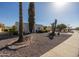 Landscaped yard with cacti and palm trees near the home at 9533 W Cedar Hill N Cir, Sun City, AZ 85351