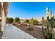 Backyard features a pathway, gravel landscaping, and citrus trees at 1000 Leisure World --, Mesa, AZ 85206