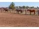 Three horses in a corral with metal fencing and water troughs at 10137 N White Rd, Maricopa, AZ 85139