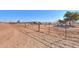 Metal fenced horse corral with horses visible and a trailer in the background at 10137 N White Rd, Maricopa, AZ 85139