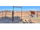 Individual horse stable with metal fencing, dirt ground, and a horse drinking water at 10137 N White Rd, Maricopa, AZ 85139