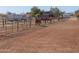 Horses in a corral at a large equestrian property at 10137 N White Rd, Maricopa, AZ 85139