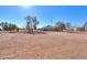 Single-story house with a large yard at 10137 N White Rd, Maricopa, AZ 85139