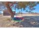 Relaxing play area with a colorful disc swing hanging from a tree at 10137 N White Rd, Maricopa, AZ 85139