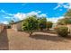 Backyard view showcasing mature citrus trees at 1358 E Jardin Dr, Casa Grande, AZ 85122