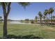 Pond view with manicured lawn and picturesque palm trees at 17833 W Verdin Rd, Goodyear, AZ 85338