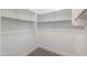 Large walk-in closet with ample shelving and hanging space at 2142 W Enfield Way, Chandler, AZ 85286