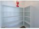 Spacious pantry with ample shelving at 2142 W Enfield Way, Chandler, AZ 85286