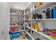 Well-stocked pantry with plenty of shelving for storage at 22847 E Sonoqui Blvd, Queen Creek, AZ 85142