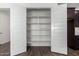 Spacious walk-in pantry with ample shelving at 25233 N 131St Dr, Peoria, AZ 85383