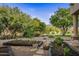 Landscaped garden with raised garden beds at 25763 N 116Th St, Scottsdale, AZ 85255