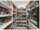 Large walk-in pantry with ample shelving for storage at 25763 N 116Th St, Scottsdale, AZ 85255