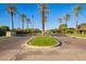 View of street lined with mature palm trees, a grassy median, and well-maintained landscaping at 3412 E Indigo Cir, Mesa, AZ 85213