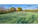 A pristine tennis court for community use with available lighting and a vibrant green surface at 3412 E Indigo Cir, Mesa, AZ 85213