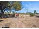 Landscaped backyard with brick patio and mature trees at 4242 E Sacaton St, Phoenix, AZ 85044