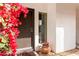 Brown front door entry with red bougainvillea, creating a welcoming entrance at 530 E Calavar Rd, Phoenix, AZ 85022