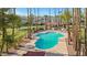 Inviting community pool surrounded by palms at 6415 S El Camino Dr, Tempe, AZ 85283