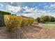 Landscaped backyard with gravel, artificial turf, and mature shrubs at 12629 W Bajada Rd, Peoria, AZ 85383