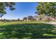 Large grassy area in the community with trees and playground at 1349 N Balboa --, Mesa, AZ 85205