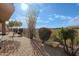 Landscaped backyard with mountain views and a fence at 14850 E Grandview Dr # 138, Fountain Hills, AZ 85268