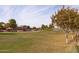 Community green space with playground and trees at 2702 E Saddlebrook Rd, Gilbert, AZ 85298