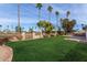 Expansive grassy backyard with mature palm trees at 2824 S Bala Dr, Tempe, AZ 85282