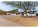 Ranch style home with a spacious front yard at 2824 S Bala Dr, Tempe, AZ 85282