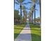 Walkway lined with palm trees in a sunny community at 40861 W Little Dr, Maricopa, AZ 85138